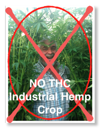Greg no THC crop picture 2